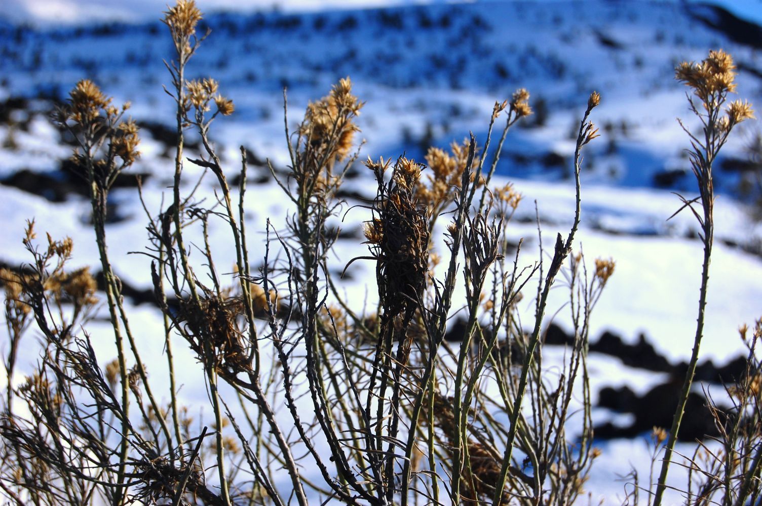Snow at Craters